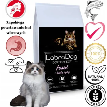 Krmivo pro kočku Krmivo suché pro kočky Losos s bílou rybou bez obilovin a kuřecího masa 5 kg