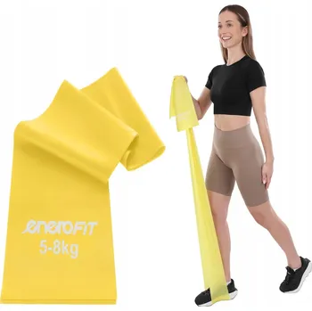 TRENAŽÉRNÍ GUMA / ODPOROVÁ GUMA NA CVIČENÍ 200x15cm