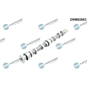 Motor automobilu Vačkový hřídel DR.MOTOR DRM02883