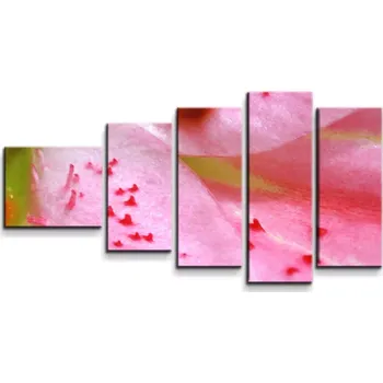 Obraz Sablio Obraz - 5-dílný Květ lilie - 100x60 cm