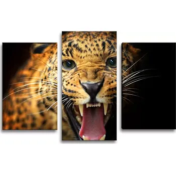 Obraz Sablio Obraz - 3-dílný Gepard 2 - 75x50 cm