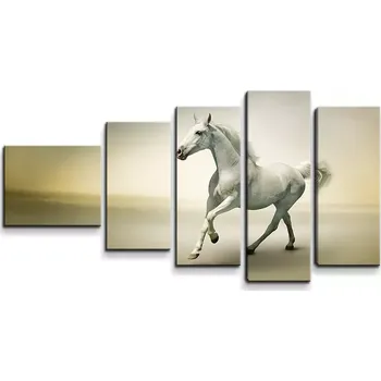 Obraz Sablio Obraz - 5-dílný Bílý kůň 2 - 100x60 cm