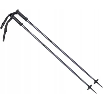 Lyžování Lyžařské hole ALPINE SKI II 115