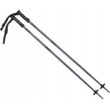 Sjezdové lyžování Lyžařské hole ALPINE SKI II 125