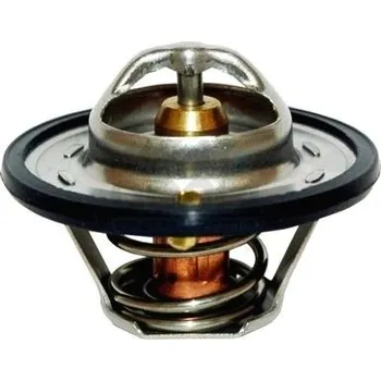 Těsnění motoru Termostat, chladivo MEAT & DORIA 92095