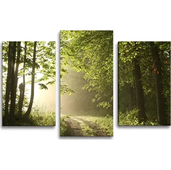 Obraz Sablio Obraz - 3-dílný Lesní cesta - 75x50 cm