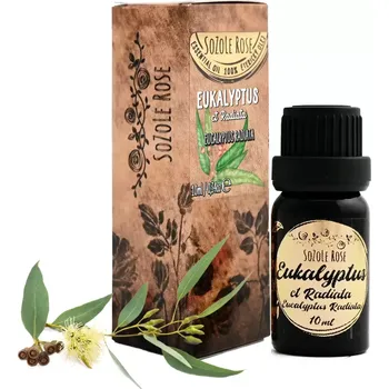 Éterický olej Eukalyptus Radiata - 10ml