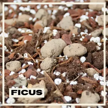 Substrát Rostlinkovo substrát Ficus 3 litry