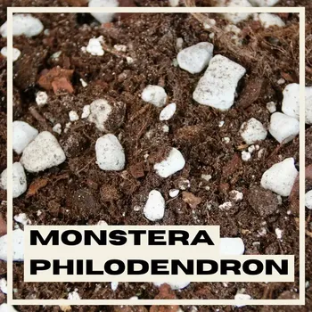 Substrát Rostlinkovo substrát Monstera & Philodendron 5 litrů