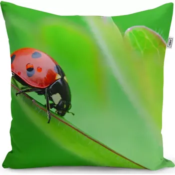 Polštář Sablio Polštář Beruška na listě - 50x50 cm
