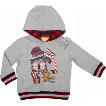 Pánská mikina Mikina s kapucí pro chlapce. Vlk. E-bound 98