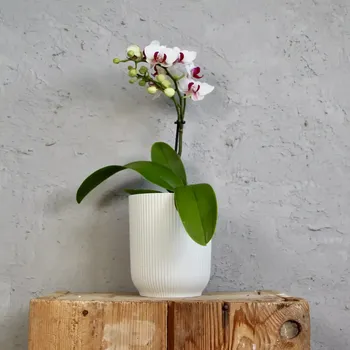 Květináč Elho plastový květináč Vibes Fold Orchid silky white Ø 13 cm