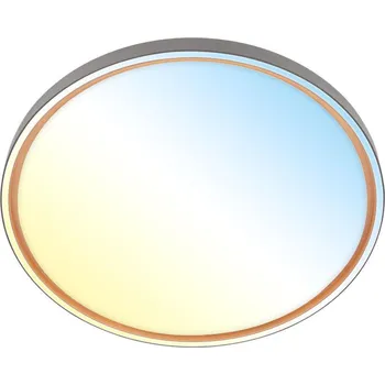 BRILONER Ina stropní svítidlo pr.49 cm - 48W, 5200lm, stmívatelné, LED, dálkový ovladač, CCT, antracit 3956015