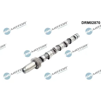 Motor automobilu Vačkový hřídel DR.MOTOR DRM02870