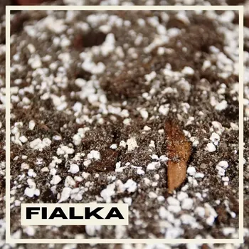 Substrát Rostlinkovo substrát Palmy, Juky a Dracény 1 litr