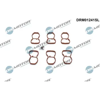 Auto-moto Sada na opravu, modul sacího potrubí DR.MOTOR DRM01241SL