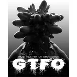 GTFO PC - digitální verze