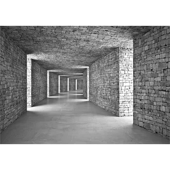 Fototapeta Fototapeta 3D do ložnice obýváku Optická 254x184 cm