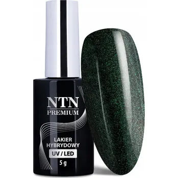 Lak na nehty Hybridní Top na Nehty NTN 5g Shimmer Libra Lesk Třpytky Prach