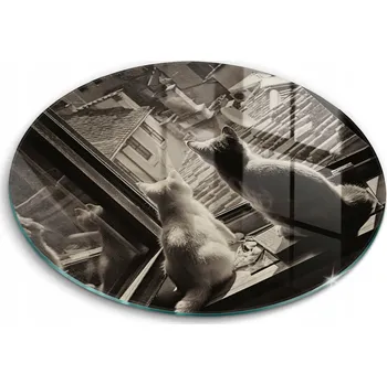 Kuchyňské prkénko Krájecí deska Wallfluent sklo 1 ks