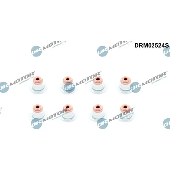 Nářadí pro automobil Sada těsnění, dřík ventilu DR.MOTOR DRM02524S
