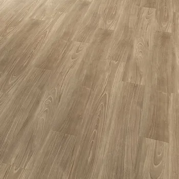 Stavebniny Vinylová podlaha Objectflor Expona Commercial 4214 Jasan Botanic