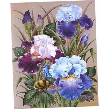 Malování podle čísel Titanum Kosatce 40x50 cm