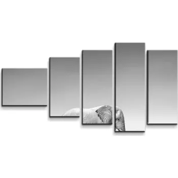 Obraz Sablio Obraz - 5-dílný Slon a zebra - 100x60 cm