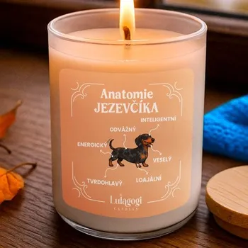 Žertovný předmět Anatomie jezevčíka - vonná svíce s potiskem- Tričkový.cz
