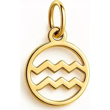 Přívěsek VODNÁŘ ZNAMENÍ ZVĚROKRUHU RYZOST 585 PŘÍVĚSEK NA ŘETÍZEK