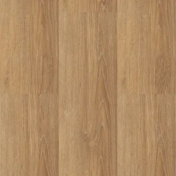 Vinylová podlaha BRASED Ecoline lepený 9555 Dub bush