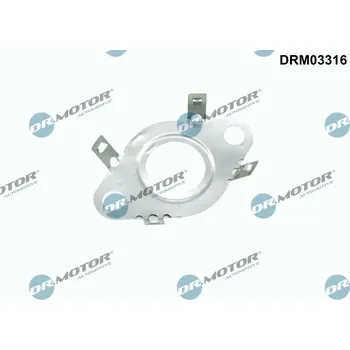 Těsnění, vedení AGR ventilu DR.MOTOR DRM03316