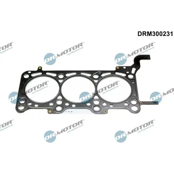 Automobilové těsnění Těsnění, hlava válce DR.MOTOR DRM300231