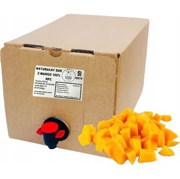 Mangový džus 100% 5l (lisovaný, NFC)