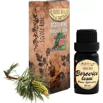 Éterický olej Borovice lesní - 10ml