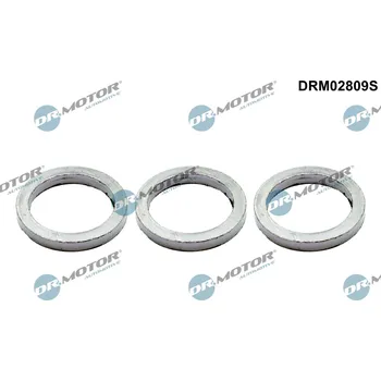 Auto-moto Sada těsnění, kolektor výfukových plynů Dr.Motor Automotive DRM02809S