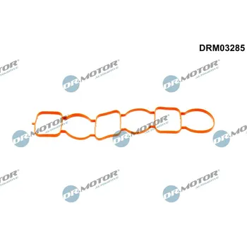 Těsnění motoru Těsnění, koleno sacího potrubí DR.MOTOR DRM03285