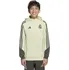 Chlapecká mikina adidas Real Madrid Boys Hooded Sweatshirt JP4003, 164