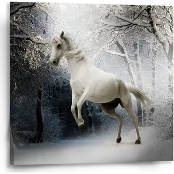 Obraz Sablio Obraz Bílý kůň - 50x50 cm