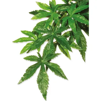 Dekorace do terária Dekorace Exo Terra Rostlina textil Abuliton střední