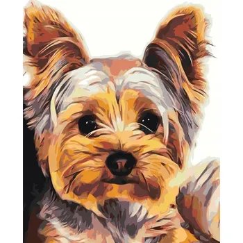 Malování podle čísel 30x40 cm - Obrázek k vymalování podle čísel - Jorkšírský teriér