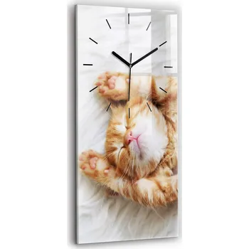 Hodiny Minimalistické skleněné nástěnné hodiny s motivem spícího kotěte 30x60 cm