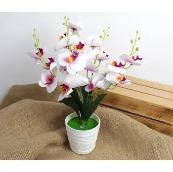 umělá květina Květina STORCZYK v plastovém květináči, výška 44 cm (20 hlaviček 8 cm) BÍLÁ s růžovým středem