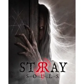 Počítačová hra Stray Souls PC - digitální verze
