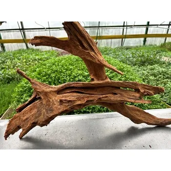 Dekorace do akvária Kořen Mangrove L č.5