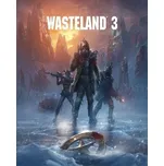 Wasteland 3 PC - digitální verze