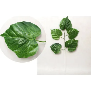 List 1ramienny OLCHA 52 cm 5 listů zelený - 1 ks