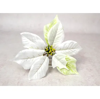 Vánoční dekorace Květinová hlava Vánoční hvězda, POINSECJA 21 cm BÍLO-ZELENÁ