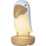 Star Trading Dětská lampička 16xLED…