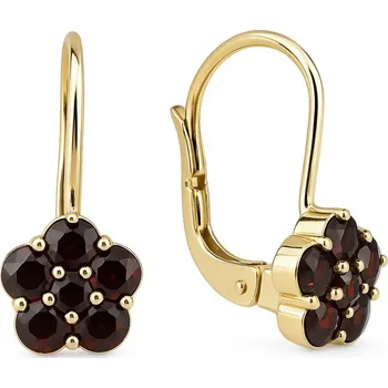 Náušnice Stříbrné zlacené náušnice Kytička s Granáty